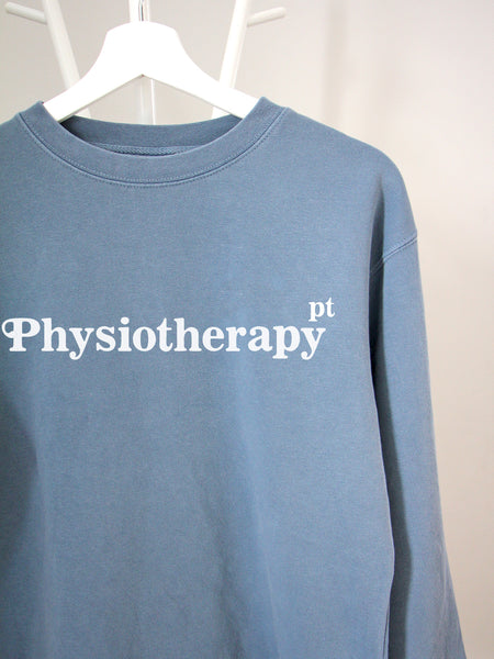Flock Your Creds: Physiotherapy PT on Slate Blue sweatshirt