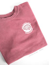 HSC Neurosurgery - Cross-section emblem on a Pink sweatshirt
